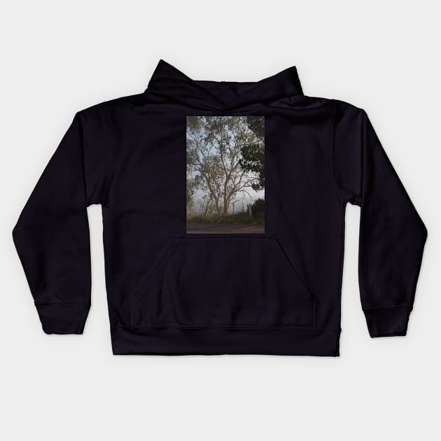 Gum tree in the mist Kids Hoodie by DeborahMcGrath